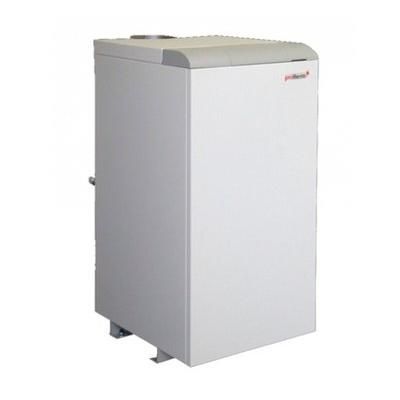 Напольный газовый котел Protherm Медведь 20 TLO (20TLOR15) - фото 1