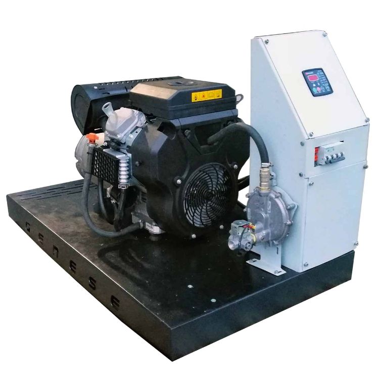 Газовый генератор Genese Standard 12000