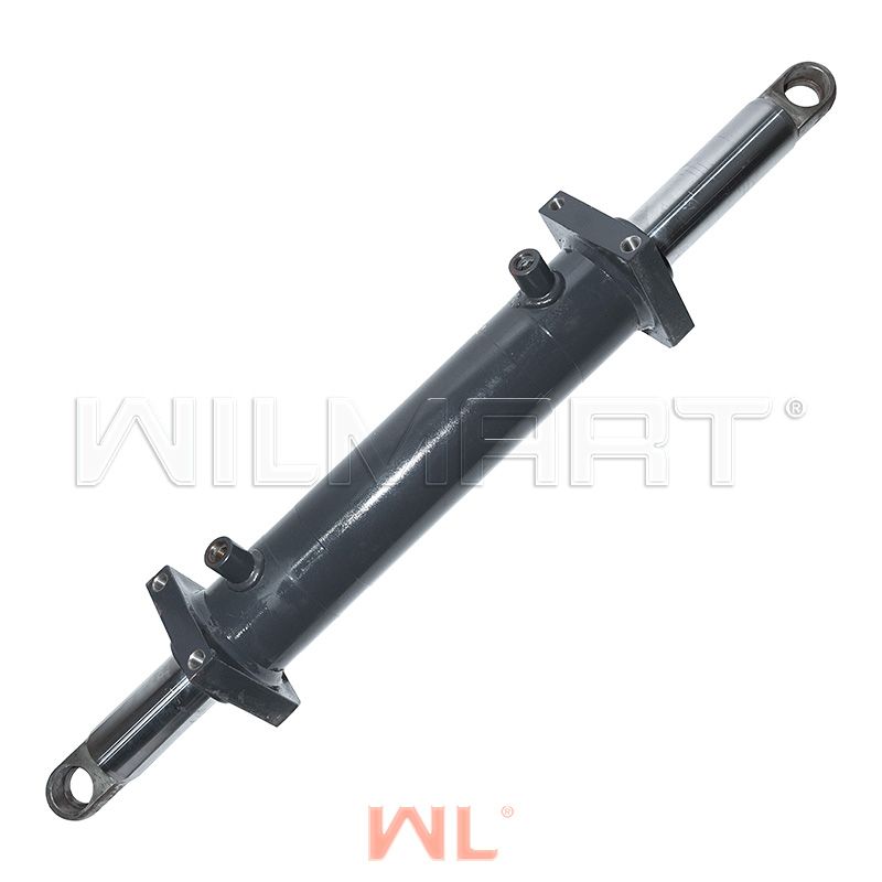 Цилиндр рулевого управления WL Dalian CPCD50AA (A847.19B.1)