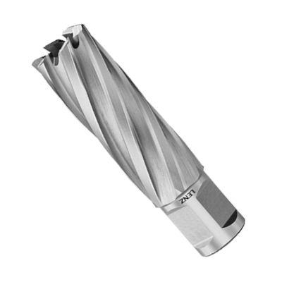 Кольцевая фреза Lenz LZRHM 22x50 мм (Weldon 19 мм)