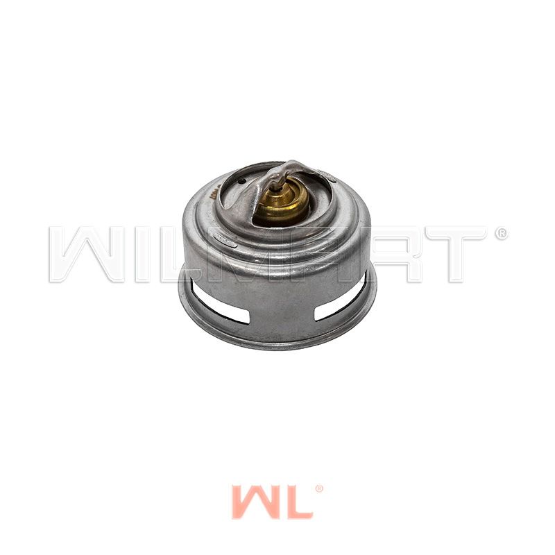 Термостат WL CY6102BG (1306H-010)