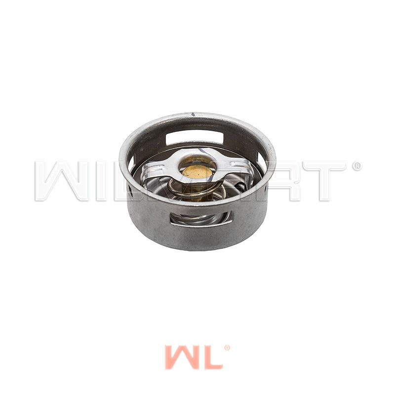 Термостат WL CY6102BG (1306H-010)