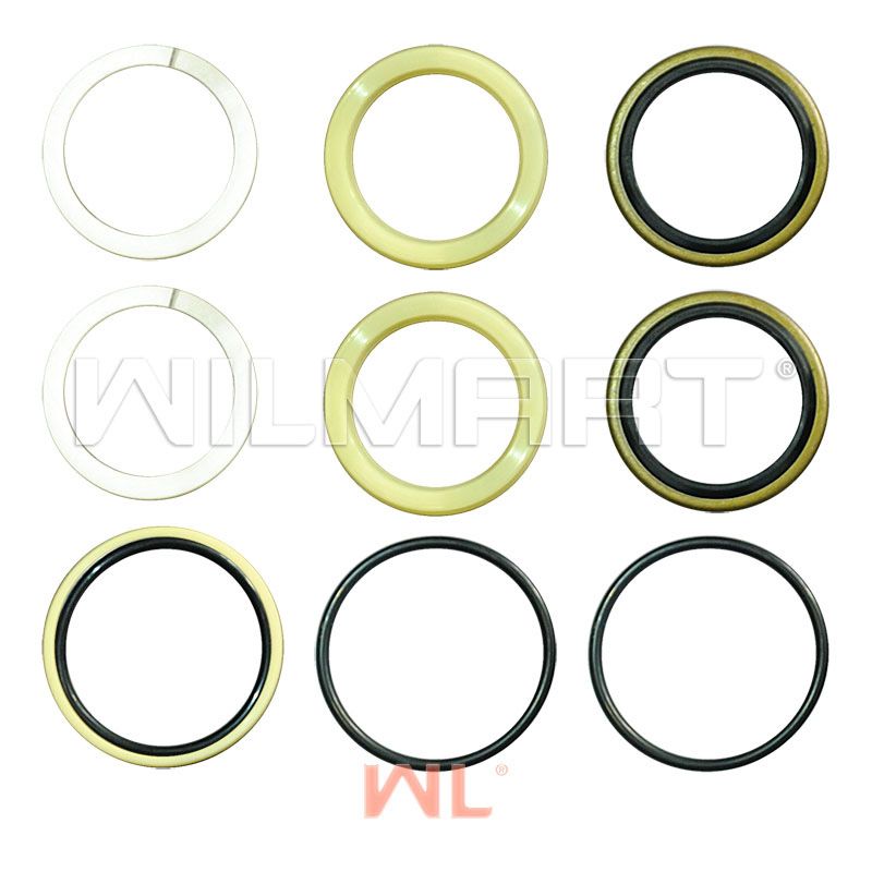 Ремкомплект ЦУ WL Heli CPCD10-18 ф40 (H12C4-50301S Kit)