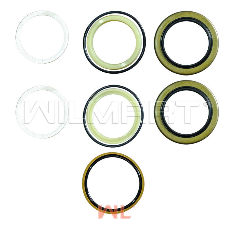 Ремкомплект ЦУ WL Heli CPCD20-35 ф50 (H24C4-50402S Kit)
