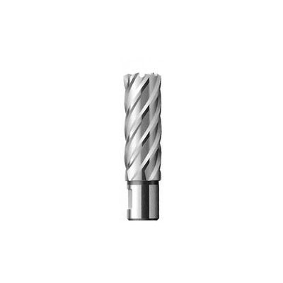 Кольцевая фреза FE Powertools HSS 12х55