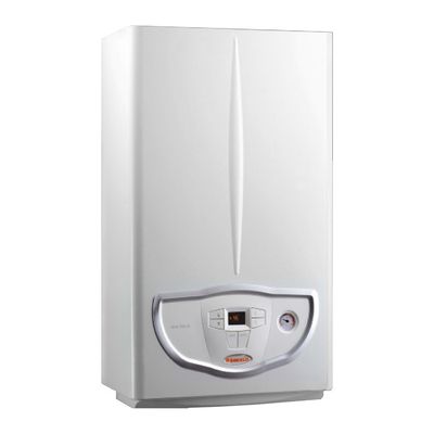 Газовый котел для отопления Immergas Mini Nike X 24 3 E