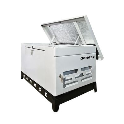 Газовый генератор Genese Standard 5000 (в кожухе)