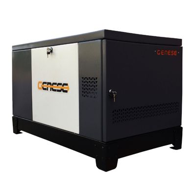 Газовый генератор Genese Standard 14000 (в кожухе)