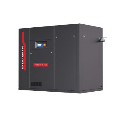 Компрессор DALGAKIRAN INVERSYS Plus 75-10 ID 10900 л/мин