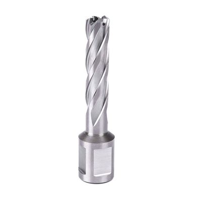Фреза кольцевая ПрофОснастка d 12 L=55/88 мм №01 Weldon19 HSS M2 для магнитных станков