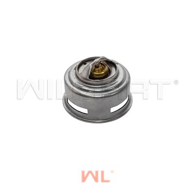 Термостат WL CY6102BG (1306H-010)