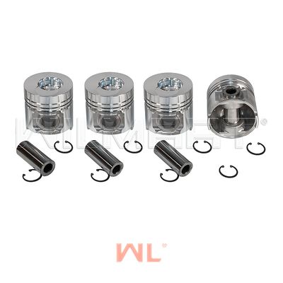 Поршень WL LuoTuo 4108 (комплект на двc) (RB.050001-1)