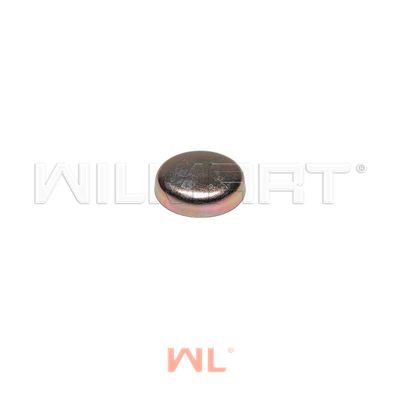 Заглушка WL Xinchai 490BPG Ф40 блок (4шт на двс) (490B-01079)