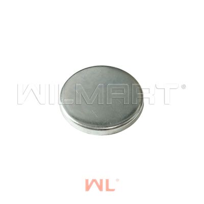 Заглушка WL Xinchai 490BPG Ф58 блок(Распредвал WL) (1шт на двс) (490B-01009)
