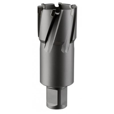 Кольцевая фреза ROTORICA TCT 43x55 RT.4225043