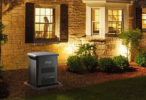 Газовый электроенератор Briggs Stratton